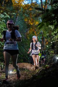 BIB: 
                            <button type="button" onclick="openModal(19231340)" class="btn btn-primary btn-sm float-right btn-popup" data-toggle="modal" data-target=".modal-high-quality">
                        <i class="fas fa-shopping-cart"></i> Add to Cart
                    </button>
                                            <button type="button" onclick="isThisMe(19231340, true)" class="btn btn-success btn-sm float-right btn-popup btn-isme hidden" data-toggle="tooltip" data-placement="bottom" title="นี่คือรูปของคุณใช่ไหม คลิกที่นี่เพื่อเอาเข้าอัลบั้ม">
                        <i class="fas fa-plus"></i> Add to album
                    </button>
                    <button type="button" onclick="isThisMe(19231340, false)" class="btn btn-warning btn-sm float-right btn-popup btn-isnotme hidden">
                        <i class="fas fa-ban"></i> Remove from album
                    </button>